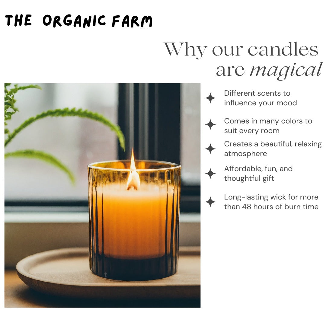 Scented Soy candles – Organic and toxin free